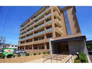 サンキューブ鳥取の画像