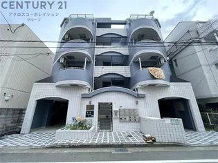 トレンディ立花の画像