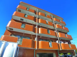 ウエルス幸の画像