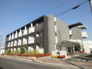 リュミエールの画像