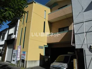 カサベルデ アカシアの画像