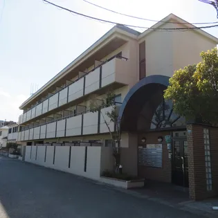 ドムール若山の画像
