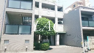 パインフィールド【1階】の外観