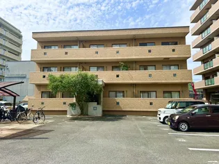 ローズマリーの画像