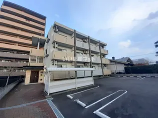 SUMIKAの画像