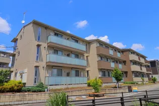 ロイジェントパークス レイクタウン Ⅲ Iの画像