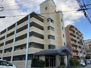 ビジネス ワン板付の画像