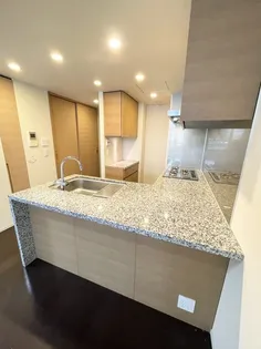 ミッドガーデン赤坂氷川【2階】のキッチン