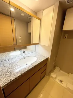 ミッドガーデン赤坂氷川【2階】の内装