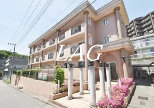 ルピナス7の画像