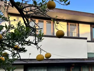 CITRUS HOUSE【2階】の外観