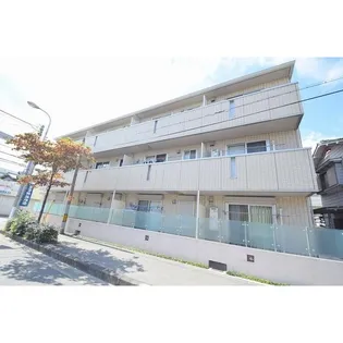 ハナミズキの画像