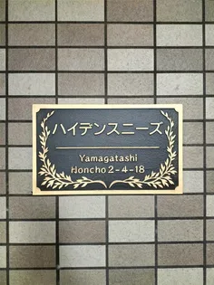 ハイデンスニーズの画像