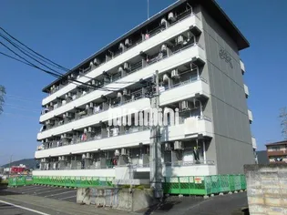 メゾンリズイースト【4階】の外観