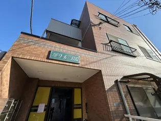 カドリールソカロの画像