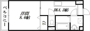 New Century【4階】の間取り