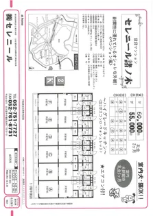セレニール諸の木【1階】の間取り