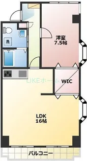 エクセレント丸太【3階】の間取り