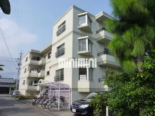 パレスクローバーの画像