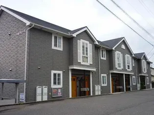 ベルグレースの画像