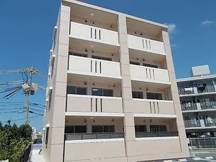 タートル ソレイユの画像