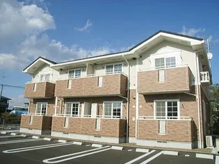 ピュアブリーズ タマAの画像