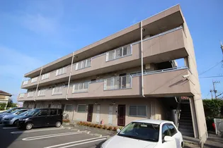 プラス松下南の画像