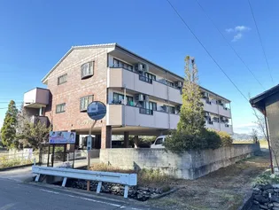 アーバンノエルの画像