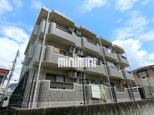 コスモスの画像