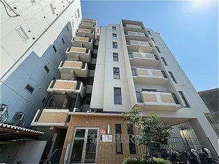 ピアシャンポールの画像