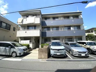 エバーグリーンの画像