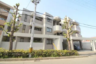 TーCOURTの画像