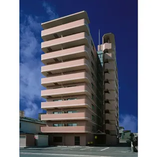 コトン月寒中央の画像