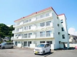 とどろきハイツ【3階】の外観