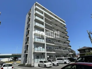 シェリーグランデの画像