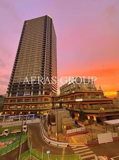 ザ・タワー十条【27階】の外観