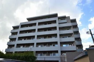 フォレストの画像