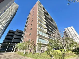 シティタワー金町 タワー棟の画像