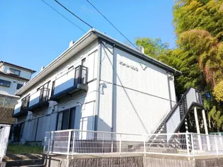 アコールスワCの画像