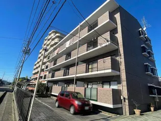 GRACY TAKAOの画像