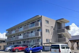 ブランニューMの画像