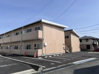 じゃがいも畑の画像
