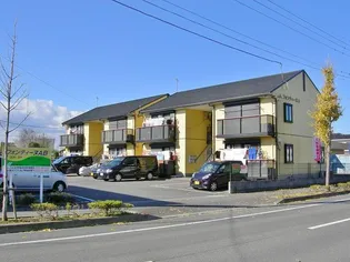 プロヴァンスAの画像