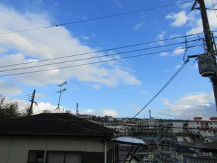 ウィングパレス【1階】のその他画像