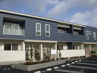 サニーブライトの画像