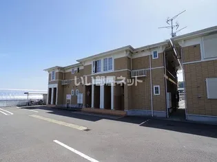 ゴールデン リリィDの画像