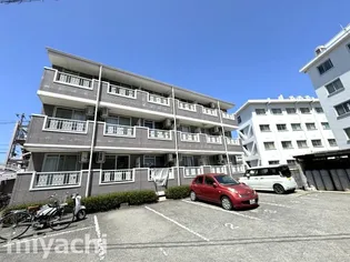 チェリーハイツ【1階】の外観