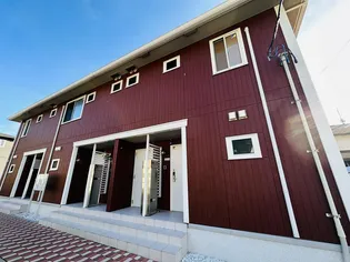 ルピナスの画像