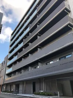 アルテシモグレイスの画像