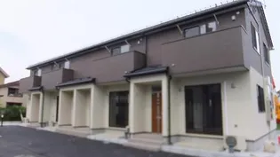 アプリコットAの画像